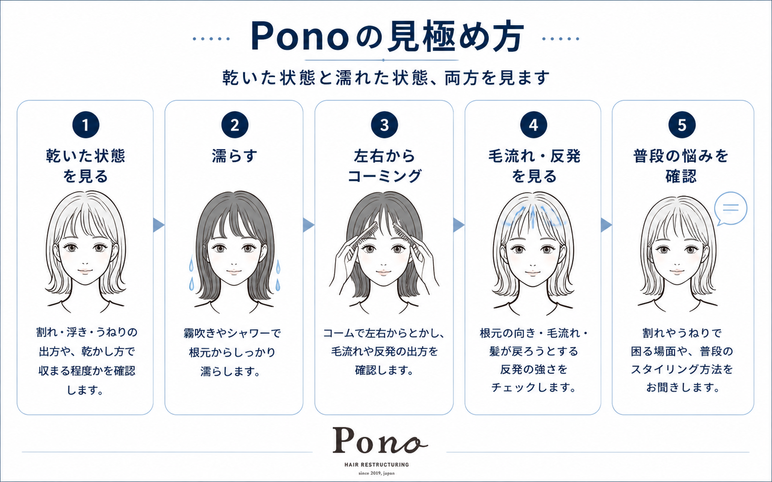 Ponoの見極め方を示すフロー図。乾いた状態を見る、濡らす、左右からコーミング、毛流れと反発を見る、普段の悩みを確認する、の5ステップ