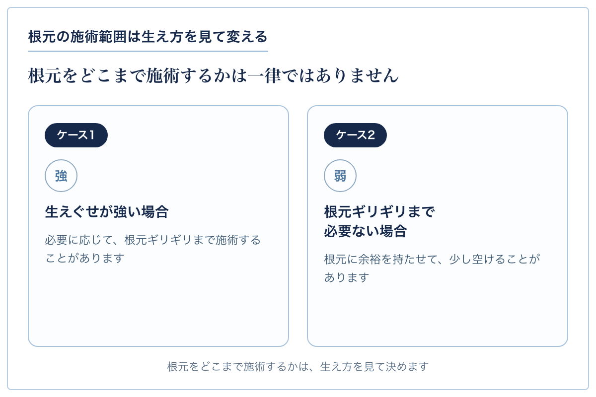 根元の施術範囲は生え方を見て変えることを示す図。生えぐせが強い場合は根元近くまで施術する場合がある。根元ギリギリまで必要ない場合は少し余裕を持たせる