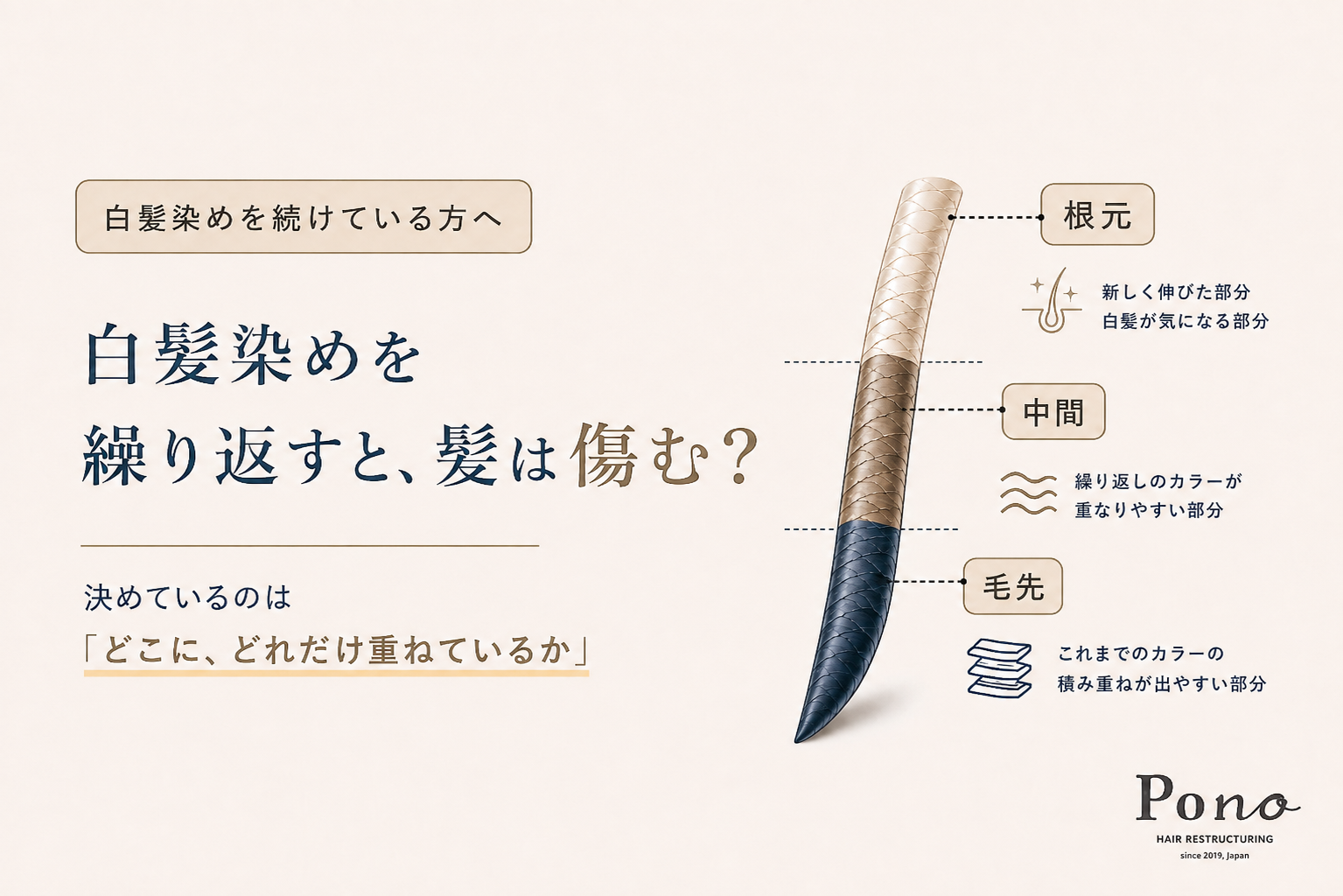 白髪染めを繰り返したときの髪への負担を、根元・中間・毛先の3ゾーンに分けて解説した図